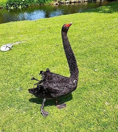 Chateau De Bellefontaine - Teritoria מלון 4*
