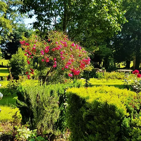 Chateau De Bellefontaine - Teritoria מלון