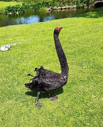 Chateau De Bellefontaine - Teritoria Hotel 4*